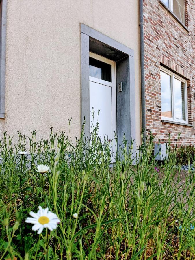 Casa Roman Zonhoven Dış mekan fotoğraf